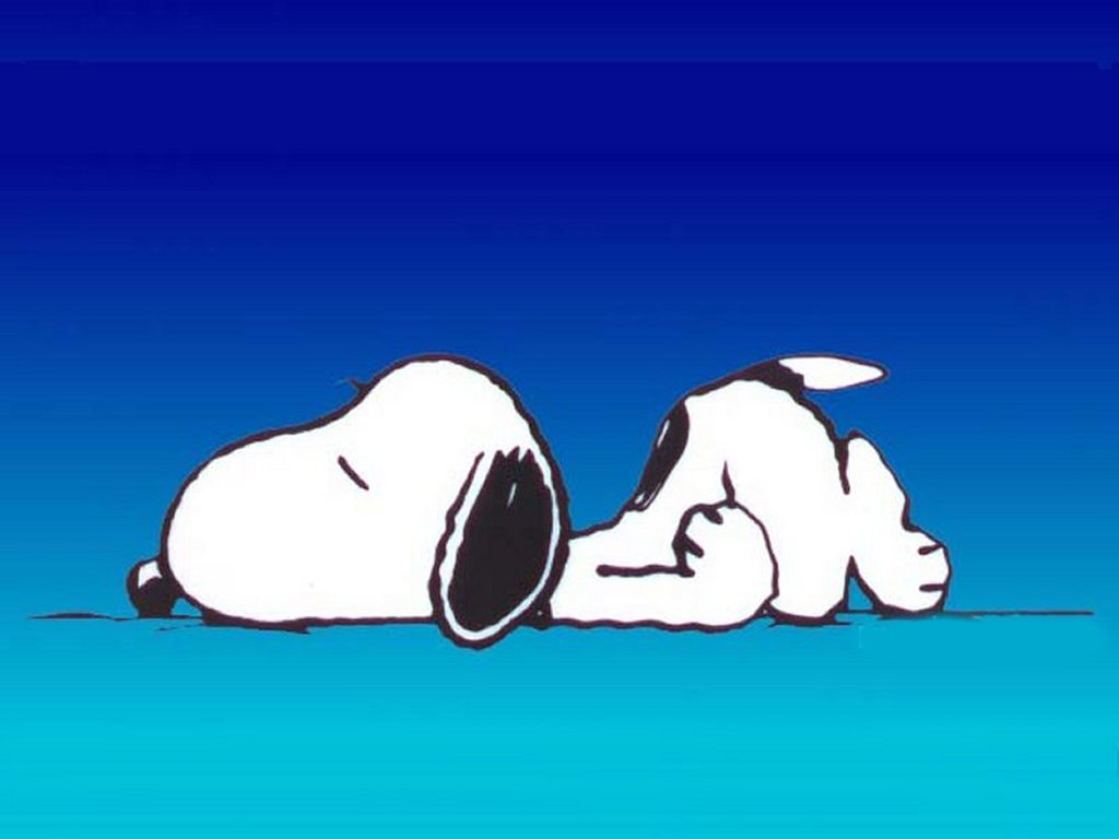 sleeping-snoopy.jpg