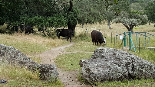 Park «Rockville Hills Regional Park», reviews and photos, 2149 Rockville Rd, Fairfield, CA 94534, USA