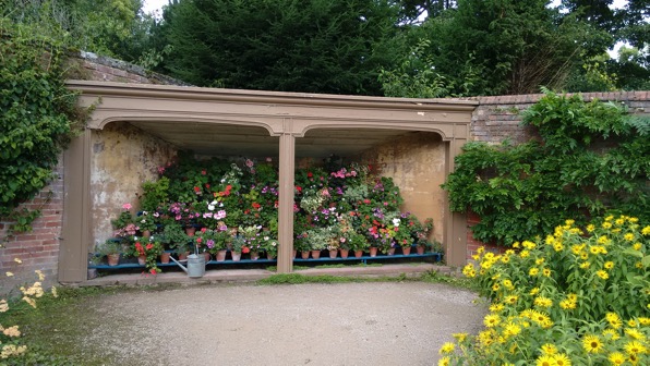 Flower Display