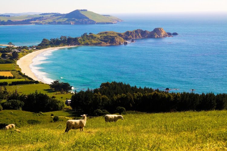 An idyllic view on the east coast of South Island, near Christchurch.