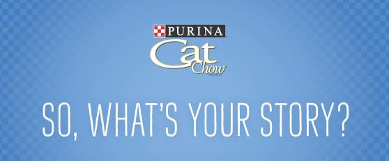 How To Get a Free Cab Ride in NYC | Purina Cat Chow — Cat Cab