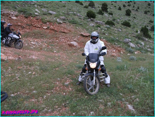 DSCF0379.JPG