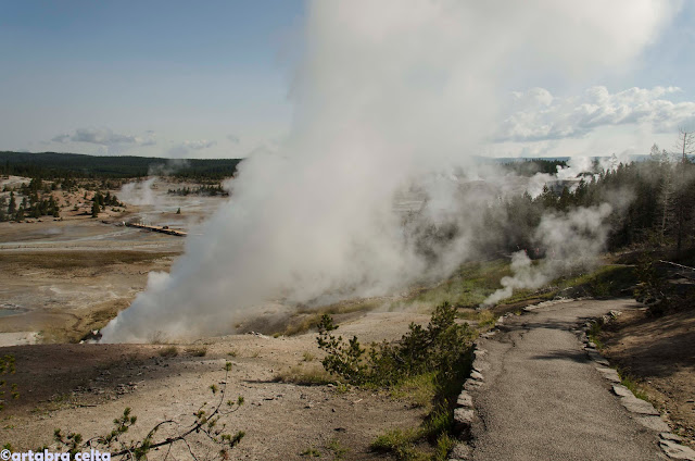 ZONA GEOTERMAL DE YELLOWSTONE N.P. (WYOMING, USA), Naturaleza-USA (3)