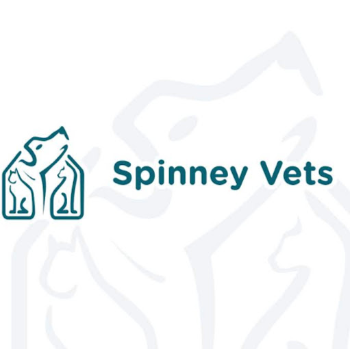 Spinney Vets - Wootton Fields | Northampton logo