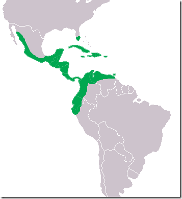 Crocodylus_acutus_Distribution