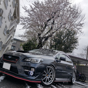 WRX S4 VAG