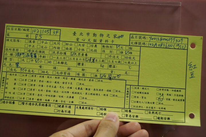 圖檔