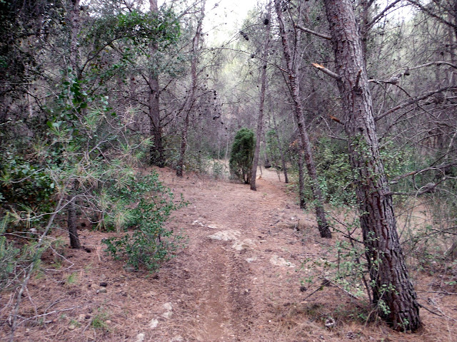 Senderismo - Vuelta a la ermita del Salvador de Onda