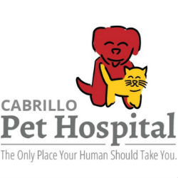 Grooming at Cabrillo Pet Hospital