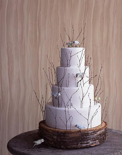 Birch twigs circle the cake;