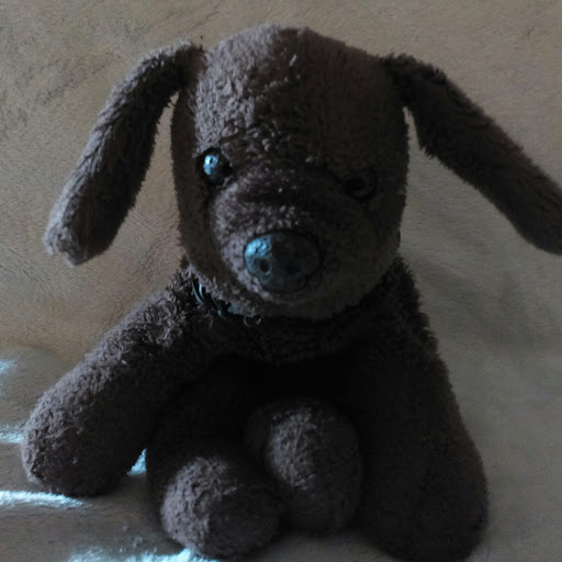Prariedog13