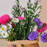 Flowers are everywhere in our Montessori classrooms. This collection awaits in one of our toddler rooms for a young person to use the flowers in a flower arranging activity.