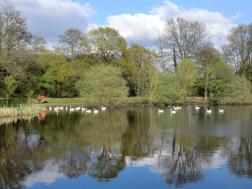 CIMG0748 Sandhurst Memorial Park pond