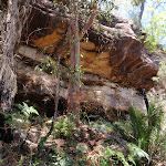 Pearl Beach Cave (219590)