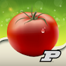 Purdue Tomato Doctor icon