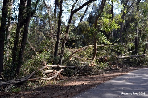 Hurricane Damage