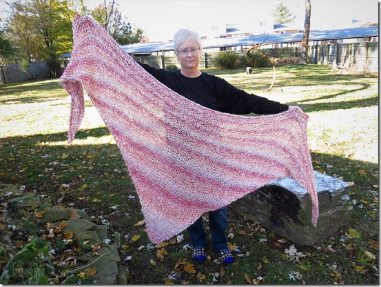 Speedy Triangle Wrap/Shawl (free instructions)