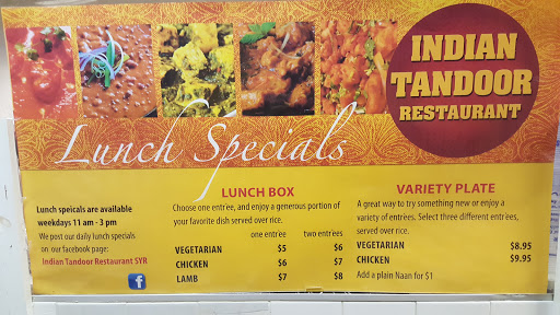 Indian Restaurant «Indian Tandoor», reviews and photos, 232 Harrison St, Syracuse, NY 13202, USA