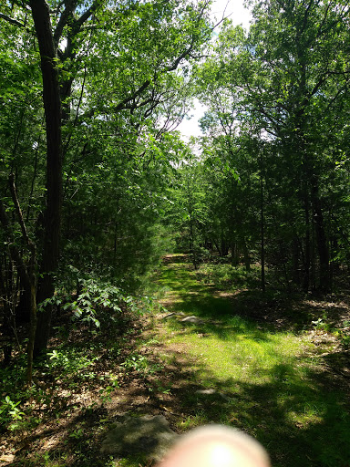 Hiking Area «Stony Brook Reservation», reviews and photos, Turtle Pond Pkwy, Hyde Park, MA 02136, USA