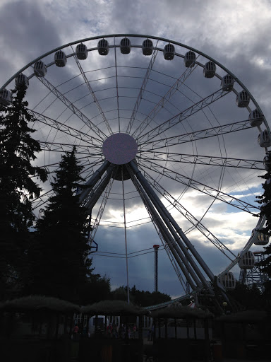 Трижды любимый Санкт-Петербург