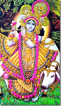 [Lord Krishna]