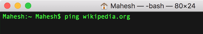 hacer ping a wikipedia.org en la ventana de terminal