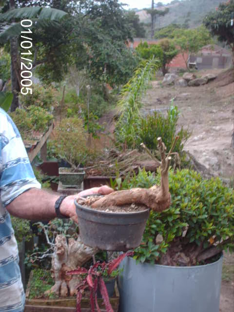 Feriado em Sta. Rita , Teresopolis... PICT2629