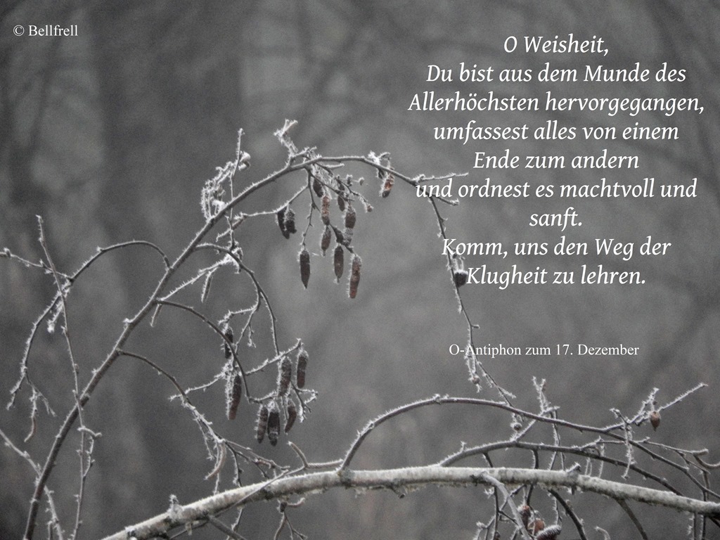 [O%2520Antiphon%2520O%2520Weisheit%252017.%2520Dezember%255B3%255D.jpg]