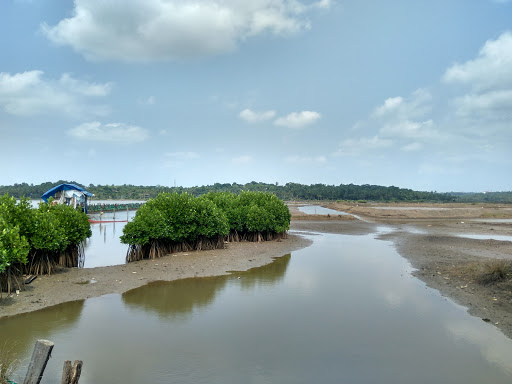 Munderi Kadavu Bird Sanctuary, Valiyannur Nayattupara Road, Noonheri, Munderi, Kerala 670592, India, Tourist_Attraction, state KL