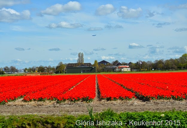 1 .Glória Ishizaka - Keukenhof 2015 - 106