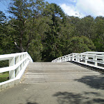 The walking bridge across the Hacking River (32528)