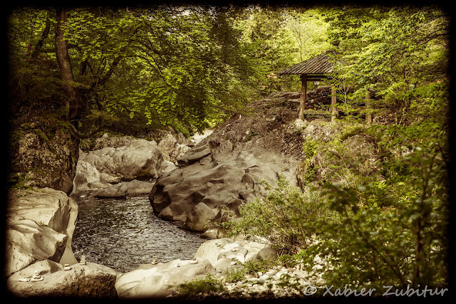 JAPAN is different! - Blogs de Japon - DIA 5: NIKKO (12)