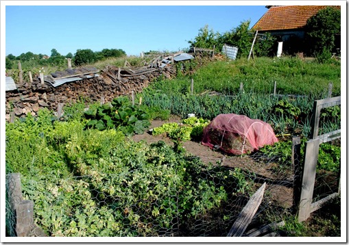 tweede  moestuin Brenazet