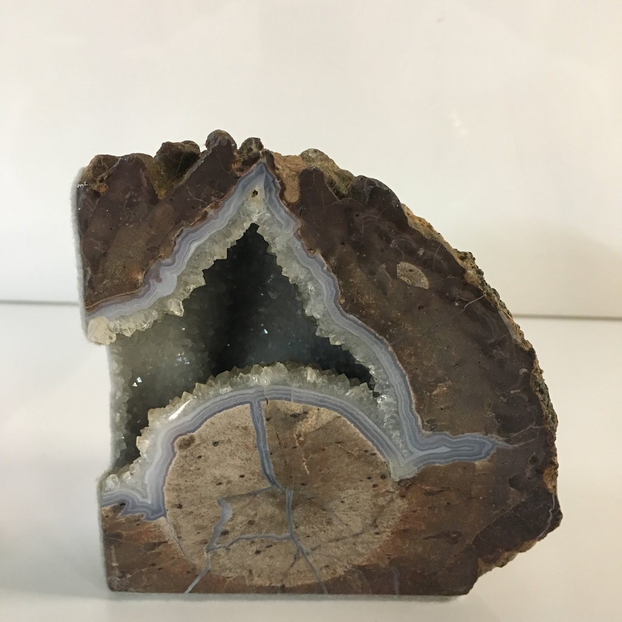 Petrified Wood Geode Pair