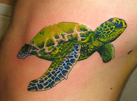 Turtle Tattoos