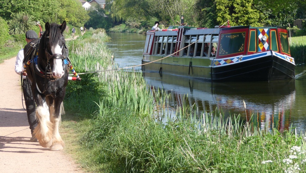 horse-drawn-boats-8