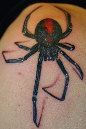 Spider Tattoos