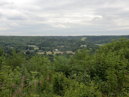 CIMG1139 Distant view of Mickleham from the Norbury Park viewpoint