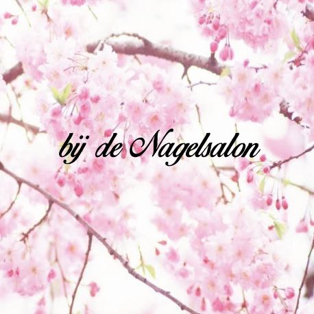 bij de Nagelsalon logo