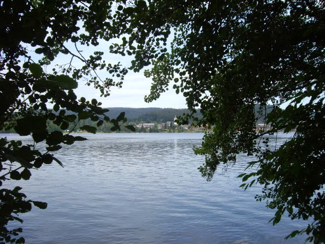 DIA 6: St. BLASIEN- SCHLUCHSEE Y HASENHORN RODELBAHN (Todtnau) - SELVA NEGRA (6)