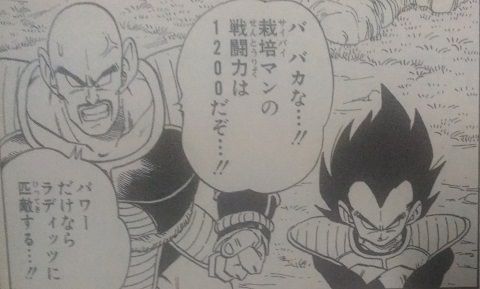 ドラゴンボール 栽培マンの謎を考察 強さ 生態を考えてみた まったりぐったり