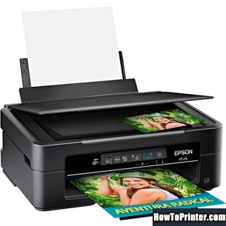 Reset Epson XP-214 printer by Resetter program