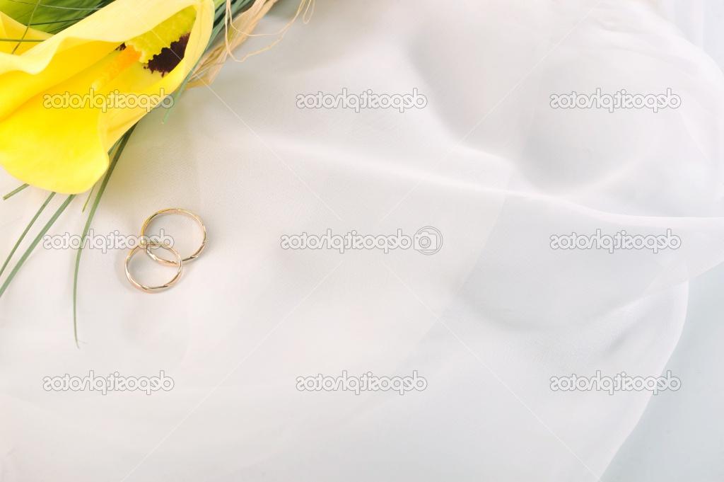yellow calla lilies and