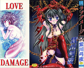 LOVE DAMAGE