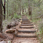 Stairs on West Head Lookout Track (28562)