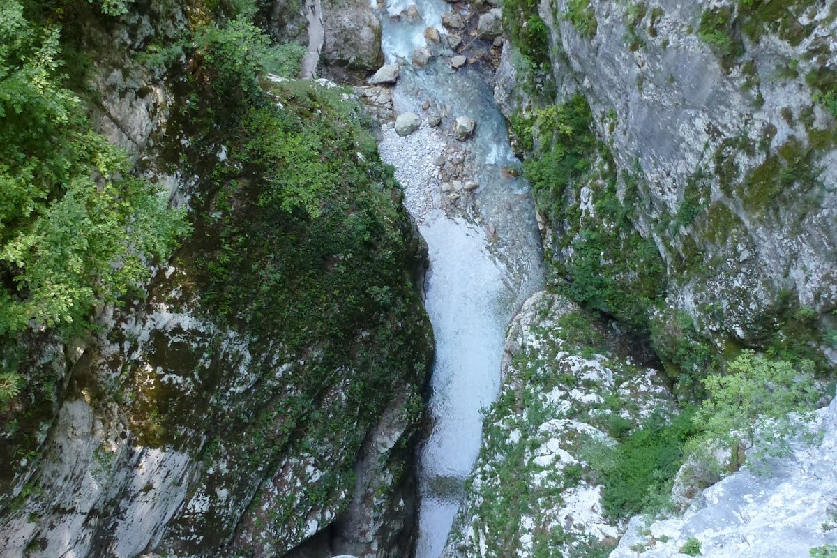 P1020695.JPG