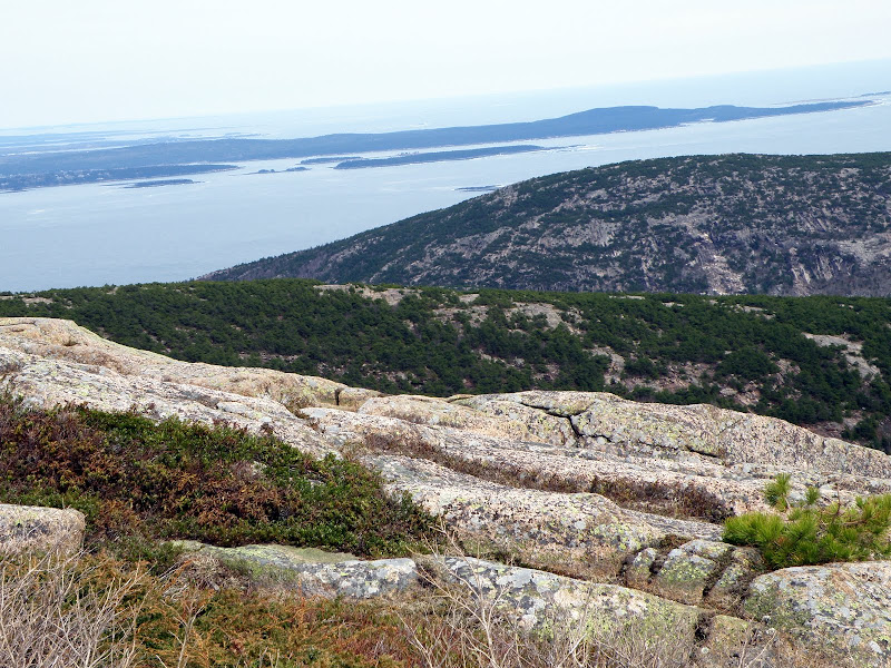 P4296174.JPG