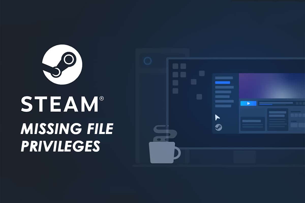 Risolvi i privilegi dei file mancanti di Steam in Windows 10