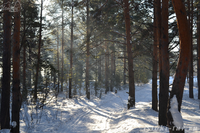 солнечные_лучи_solnechnye_luchi