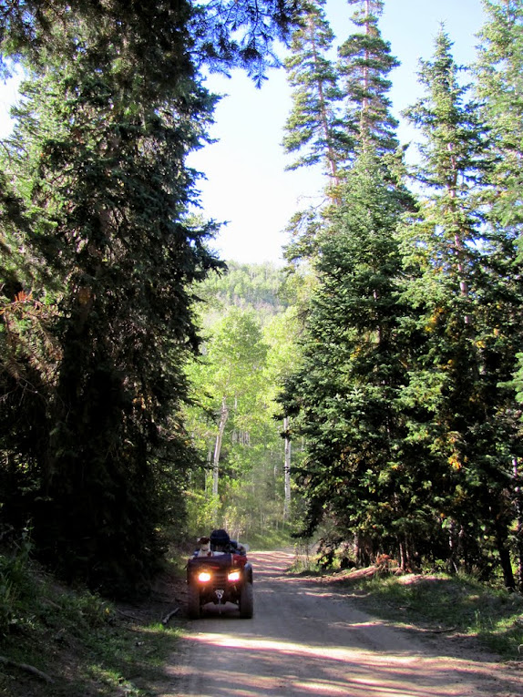 Climbing out of Starvation Creek toward Scofield